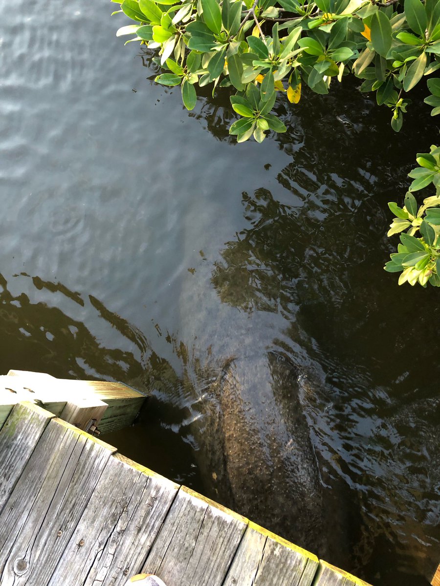 Haverhill Counselor tweet media