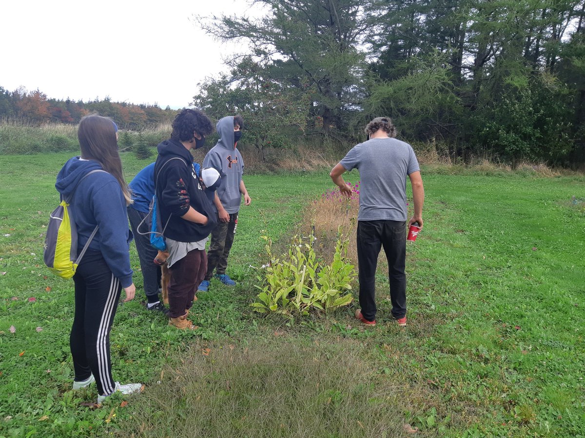 Dave_at_LEC's tweet photo. Thank you to the @LecMles2015 SAC for providing students the resources they need to design, build and plant fall crops in our LEC School Garden! @AVRCE_NS @revivalseeds @allenshomehardware https://t.co/Midxg6a0Pq