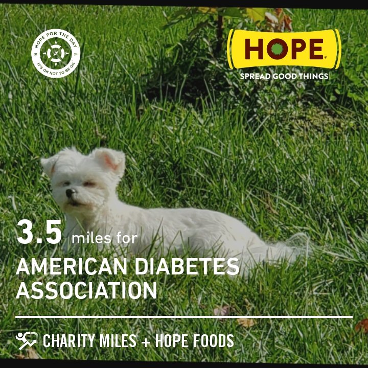 3.5 <a href="/CharityMiles/">Charity Miles</a> for <a href="/AmDiabetesAssn/">American Diabetes Association</a>. Thx <a href="/HopeHummus/">Hope Foods</a> for sponsoring me! #SpreadHope #HopeForTheDay
miles.app.link/DU5M3Gwinab