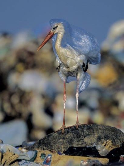 luvit's tweet image. Si hay diferencia, y juntos podemos hacer un cambio.