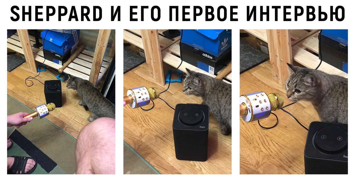 LAGUSTKIN's tweet photo. Выходи, @zShepparDR6 #R6RML https://t.co/elQX1fpsu0