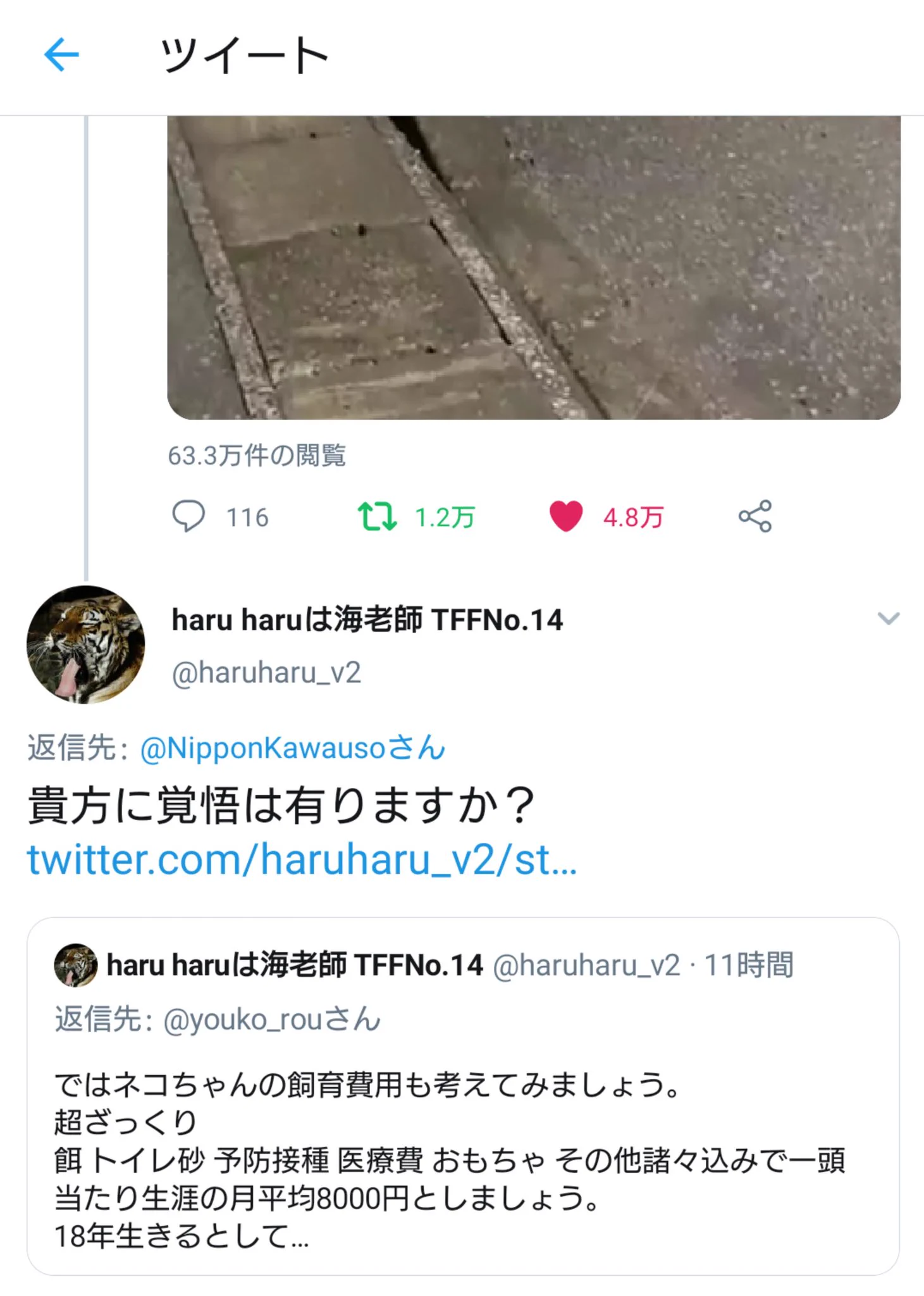 @NipponKawauso 論破されてて草wwwwwwwwwww
めっちゃスッキリする🤣🤣🤣✨
12匹飼ってる人クッソカッコいいんだけど好きすぎるwwwwwwwwwww！！！！！ 