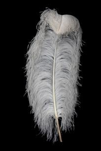 And then, of course, we have the feathers. Ostrich feathers are very popular in most cultures Perdita visits, as are peacock feathers, quale feathers, & others. Perdita picks feathers up all over the place in her travels, though she does not necessarily hunt birds for them.