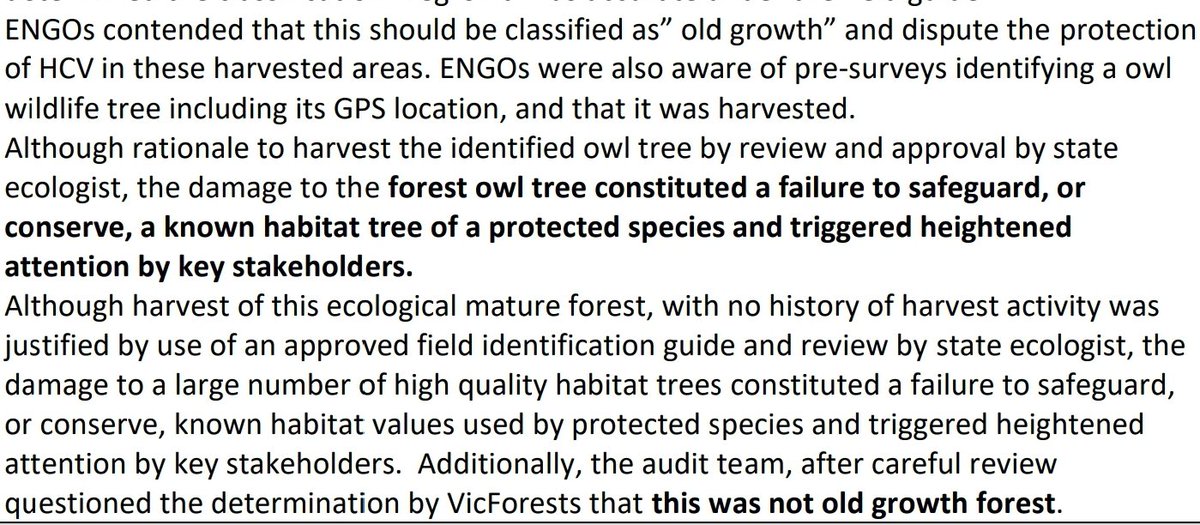 Old growth or not old growth? Probably not, according to VicForests. FSC auditors were concerned about the Old Growth status of several coupes logged, such as Spotty.ENGO: Environmental Non-Governmental Organisation HCV: High Conservation Value area