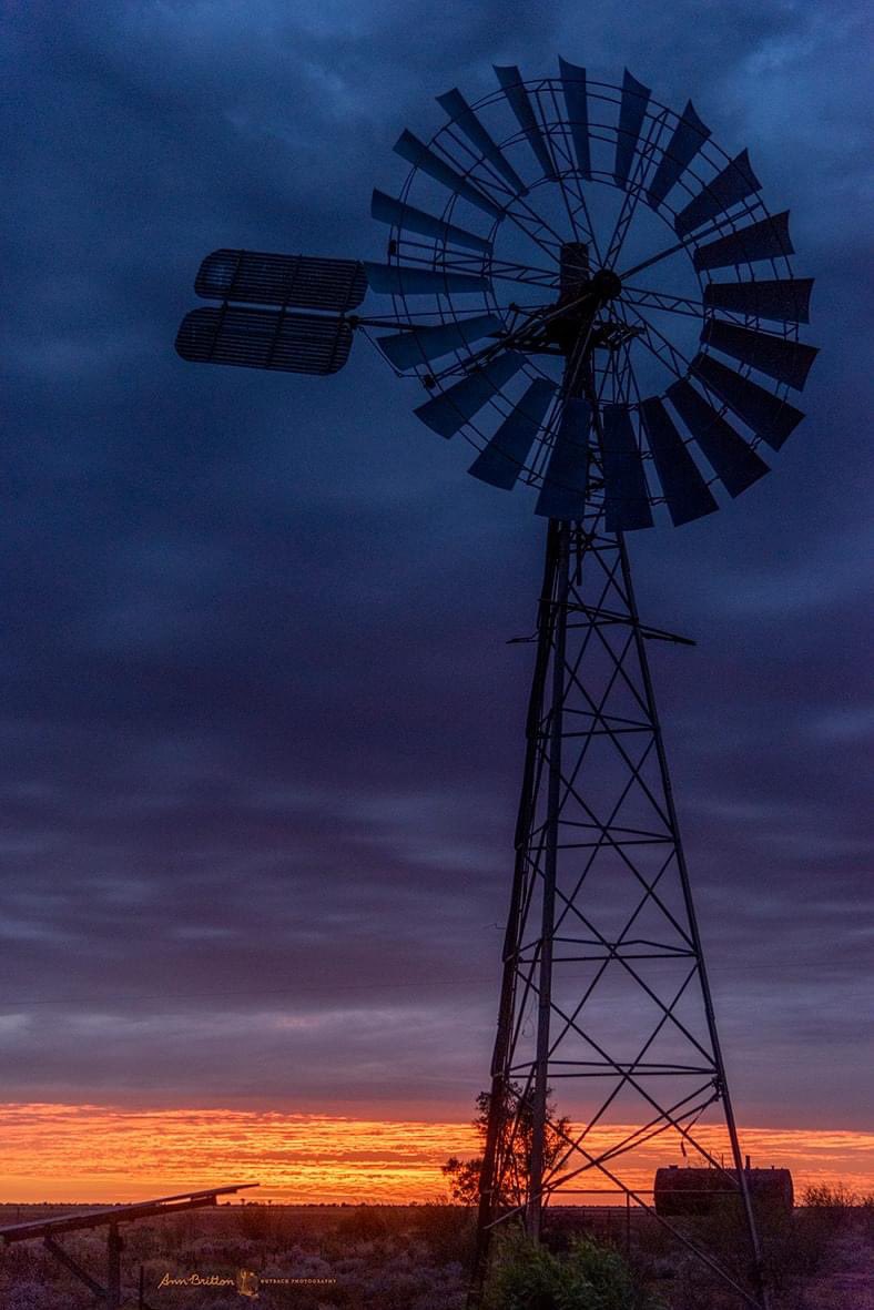 PhotoAnnBritton's tweet photo. #Goodwood #OutbackQueensland
1st photo 6 Oct 6.30am
2nd photo 6 Oct 6.23am
Dust haze
#whatadifferenceadaymakes
3rd photo 7 Oct 6.06am
4th photo 7 Oct 6.14am
Cloud
#wideopenspaces #bigskycountry #windmill #pigeon #lightchallenge https://t.co/FAEgZuxtbd