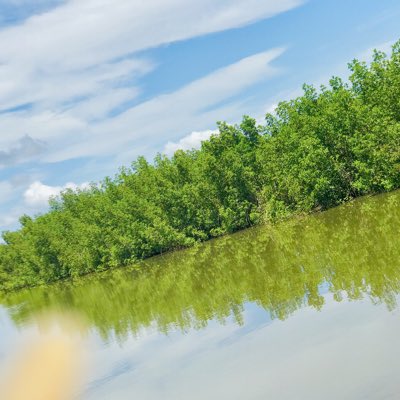 Babucarr tweet media