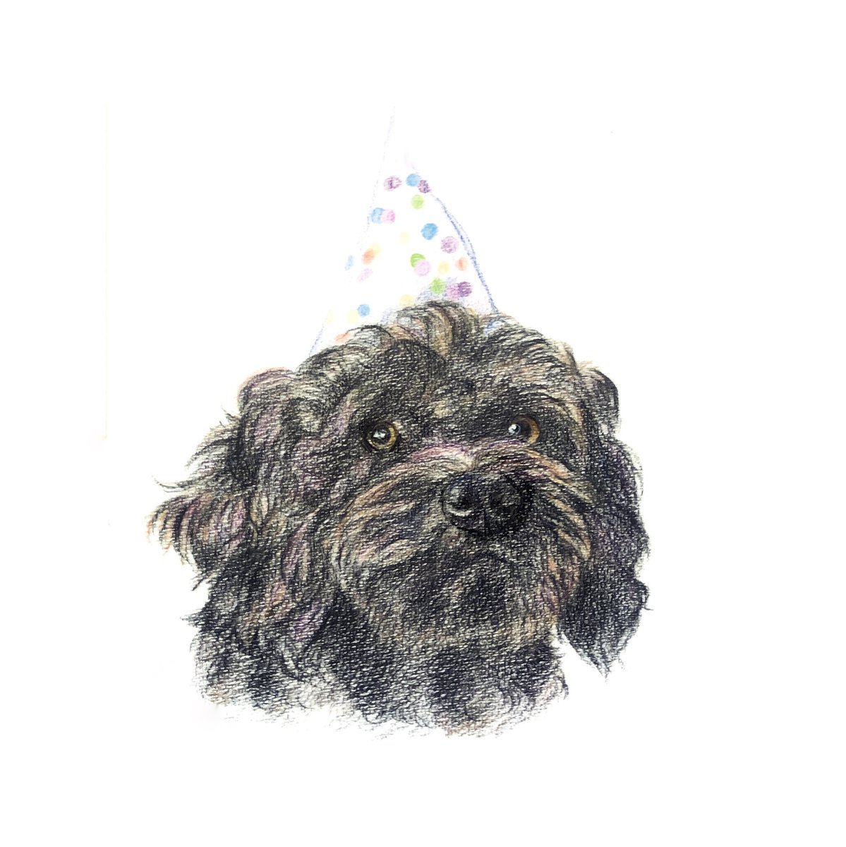 amelia_lugg's tweet photo. Zoom party fashion 🥳
.
.
.
#illustration #art #portrait #pet #animals #design #drawing #sketch https://t.co/HbTtGFcGmA