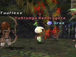 Rikipedia1's tweet photo. What are some of your fondest memories in #FFXI?
For me it is the exp PT's in #Kazham. Just getting to Kazham was a huge adventure in itself, getting the keys to be able to ride the airship and the adventures you had getting to the exp camps in Yhoator jungle, amazing shit! https://t.co/4kBP5VHG5y