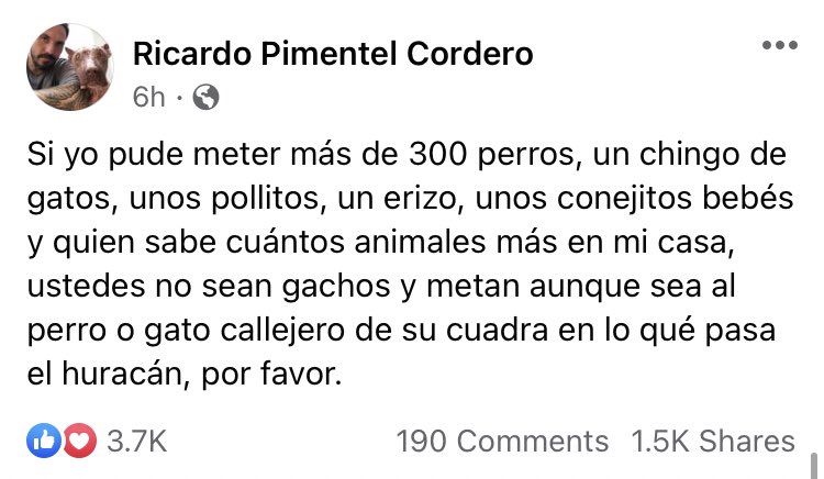 MascotasSismo's tweet image. Bravo por Ricardo Pimentel Cordero que metió a más de 300 animales a su casa para salvarlos del huracán #Delta. Fuente: facebook.com/634317468/post…