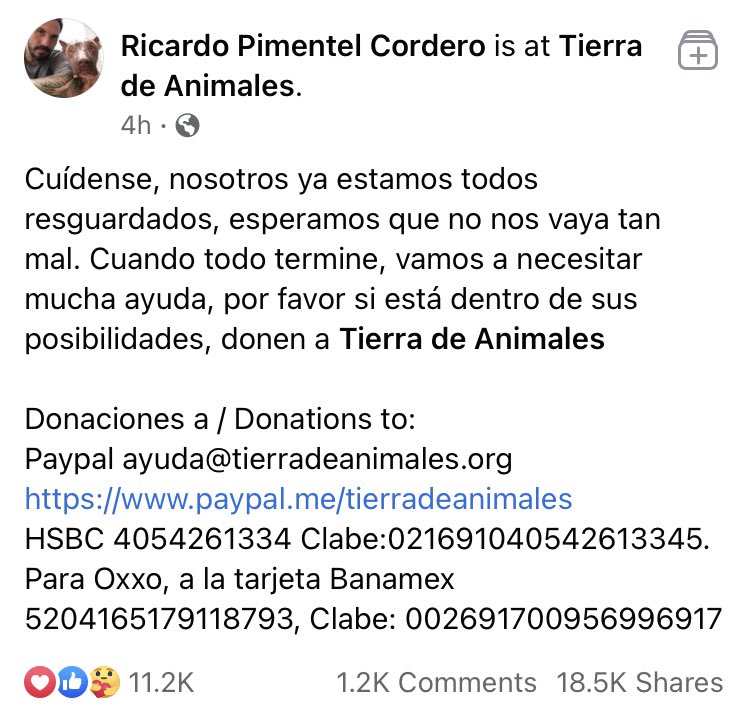 MascotasSismo's tweet image. Bravo por Ricardo Pimentel Cordero que metió a más de 300 animales a su casa para salvarlos del huracán #Delta. Fuente: facebook.com/634317468/post…