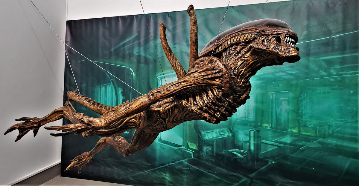 Xenomorfo nadando a escala real. Escena de la película Alien Resurrección.

#expoalien #alienexperience #alienlifesize #replicasdecinemalaga #alien #alienresurrection