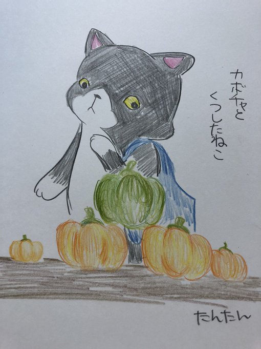 かぼちゃとくつしたねこ 1/3

#イラスト #猫
#色鉛筆 