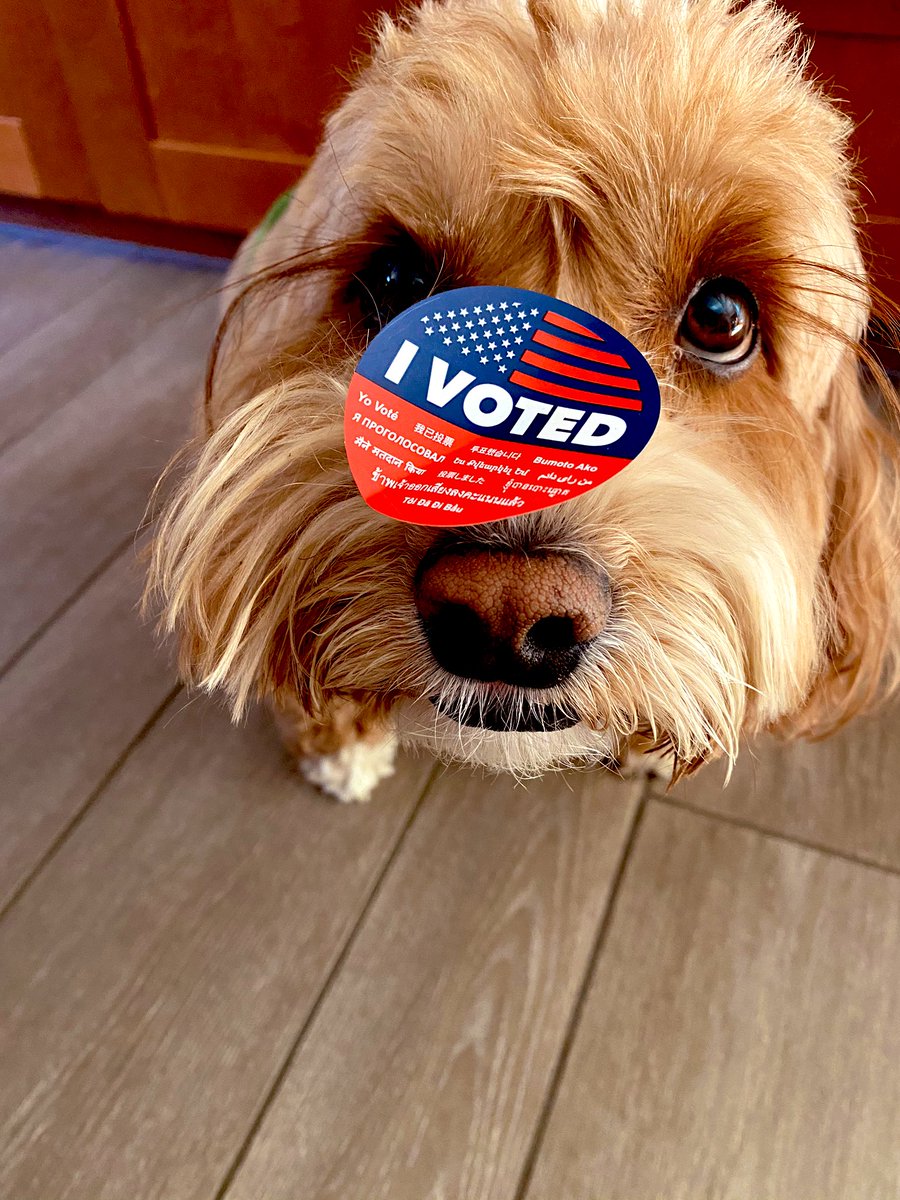 HilaryNovelle's tweet image. Let’s go @JoeBiden @KamalaHarris !!!! #ImVotingFor #BidenHarris2020 #BidenHarrisToSaveAmerica