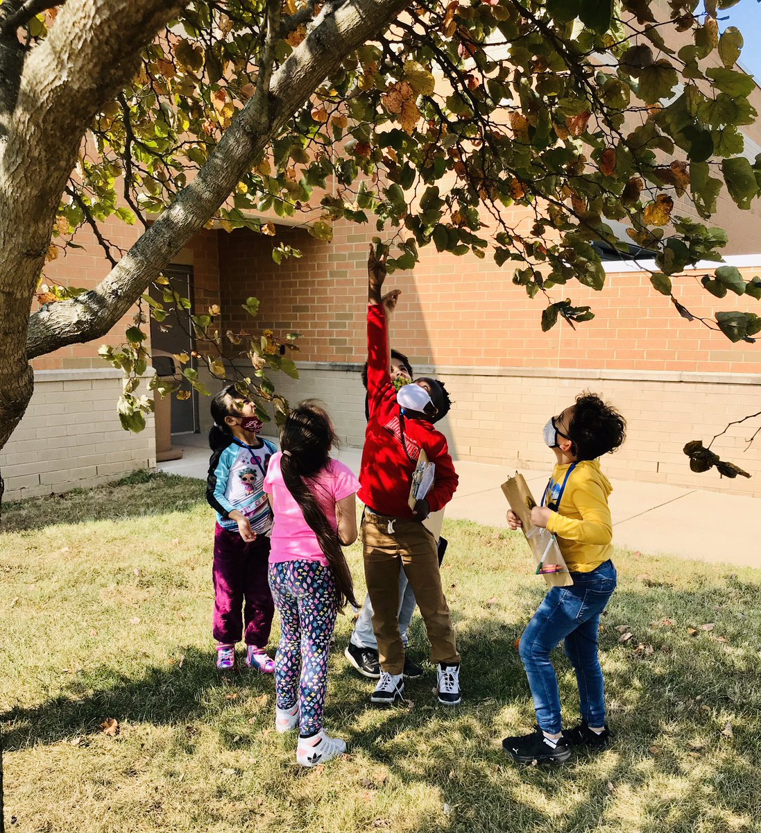 Deciduous 🌳 vs. Coniferous 🌲 The 2nd grade scientists take a walk in this beautiful weather to identify trees and collect leaf rubbings @Hamilton_FW Awakening enjoyment & appreciation for nature. #Discovery #Inquiry #BelieveBeIntentional 🔍