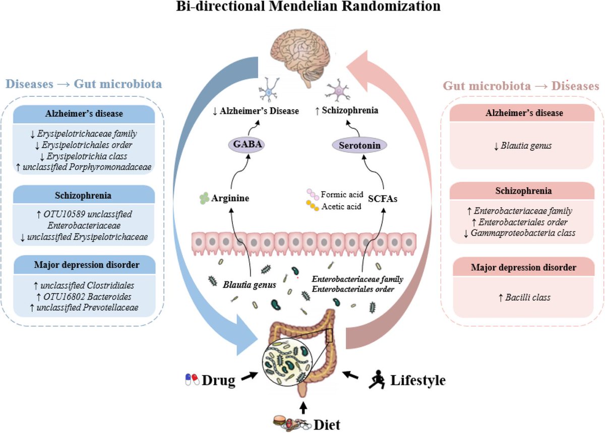 Associations between gut microbiota and #Alzheimers disease, major depressive disorder, and schizophrenia jneuroinflammation.biomedcentral.com/articles/10.11… 

#dementia #mentalhealth <a href="/SfNtweets/">Society for Neuroscience (SfN)</a> <a href="/PsychTimes/">Psychiatric Times</a> <a href="/neurociencias/">Filosofia Neurociencia</a> <a href="/WiringTheBrain/">Kevin Mitchell</a> <a href="/BritishNeuro/">British Neuroscience Association</a> <a href="/RudyTanzi/">Dr. Rudy Tanzi</a> <a href="/allentien/">Allen Y. Tien MD MHS 田一彦</a> <a href="/MyleaCharvat/">Mylea Charvat, PhD</a> <a href="/anagabrielaledo/">Ana Gabriela Ledo</a>