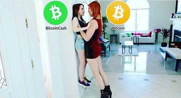 sonya_andersfx's tweet photo. Bitcoin is better. Invest in
bitcoin today and gain financial freedom! Bitcoin
investment has really elevated the life of many people. If you're ready to invest DM for more info!
.
.
.
.
.
.
.
#millionairesadvice #money #business #entrepreneur #success #love #bitcoin #motivation https://t.co/KnDYeWMrFf