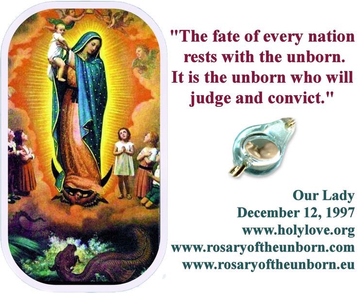 ProLifeRosary's tweet image. #ImVotingFor the unborn.