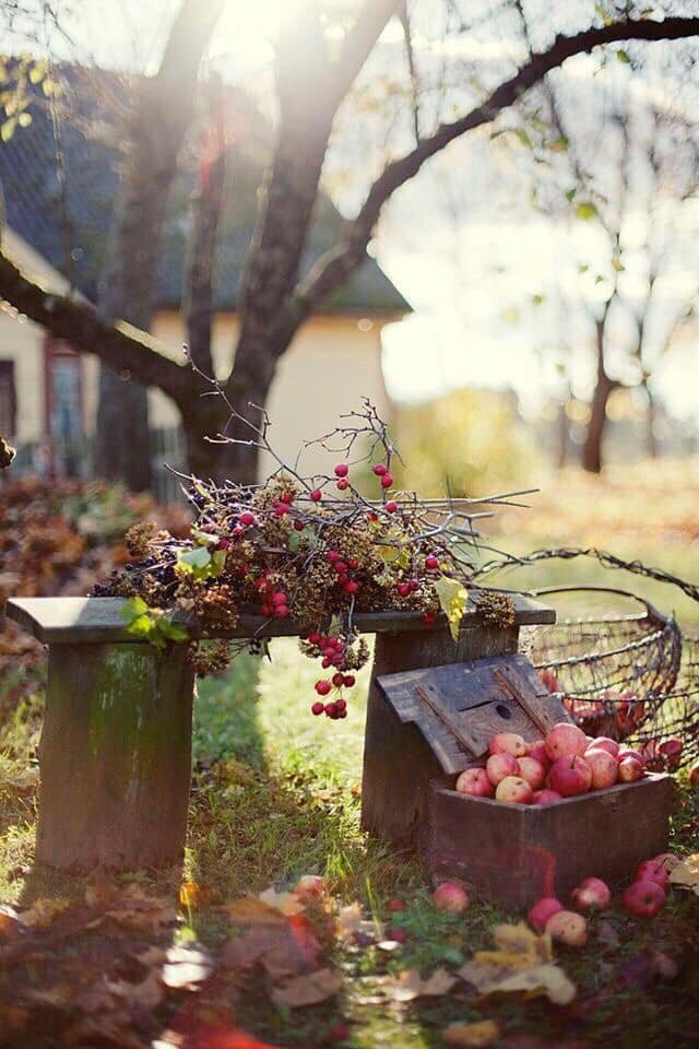 TatyanaZhmnva's tweet photo. #GoodMorningWord https://t.co/GgGPbZtWm0