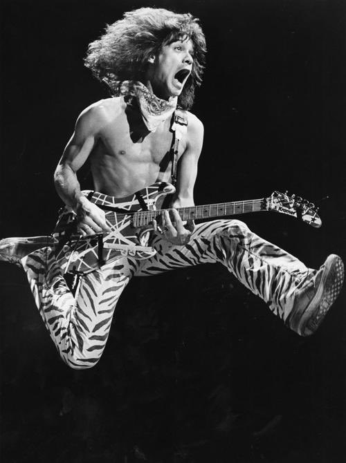 PuffDavvy's tweet photo. If aliens came to earth and opened a dictionary to the word “rock” and this was the only description, they would understand completely. https://t.co/kGo96t1fpY