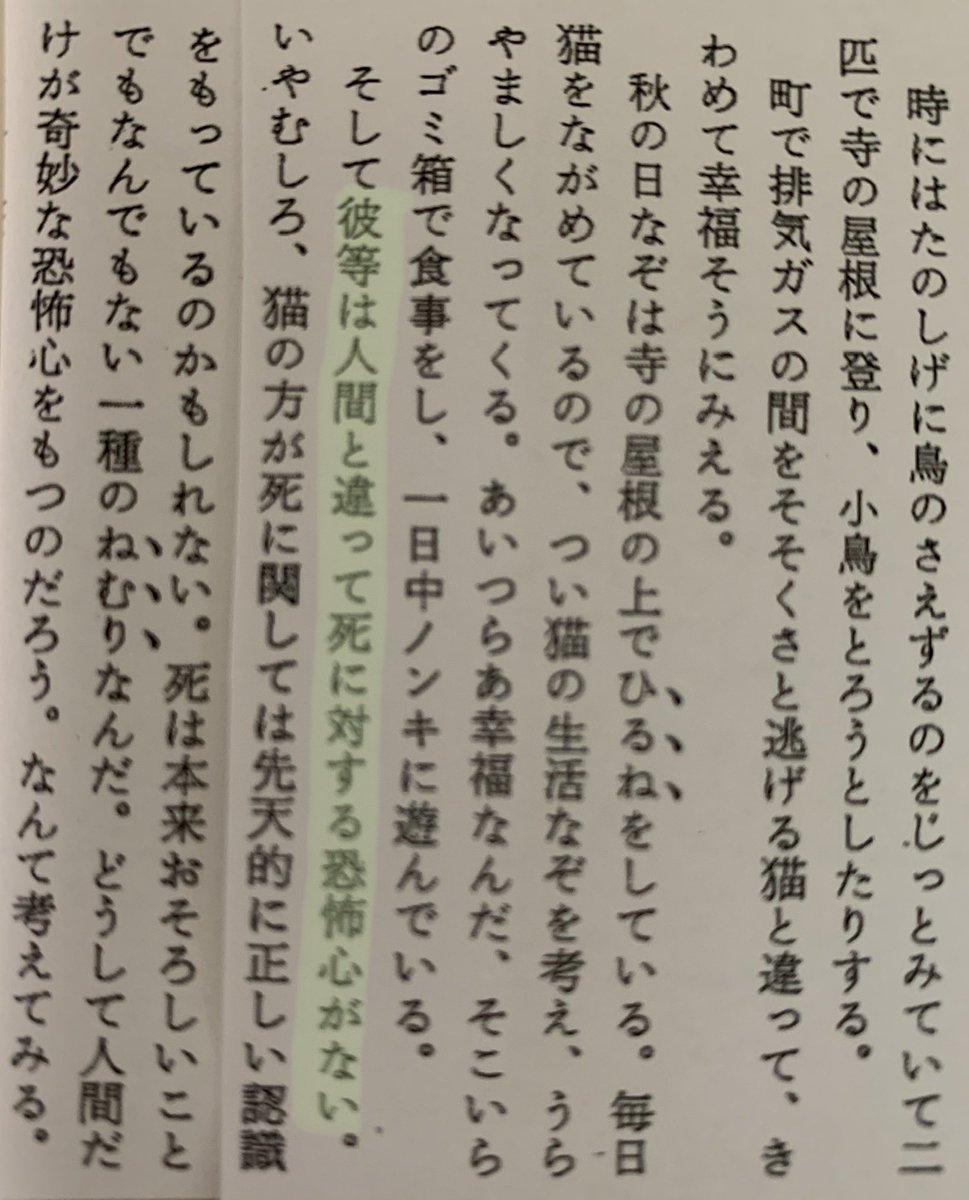 ルキ Ufoufoufo51 Twitter ルキ Ufoufoufo51 Twitter