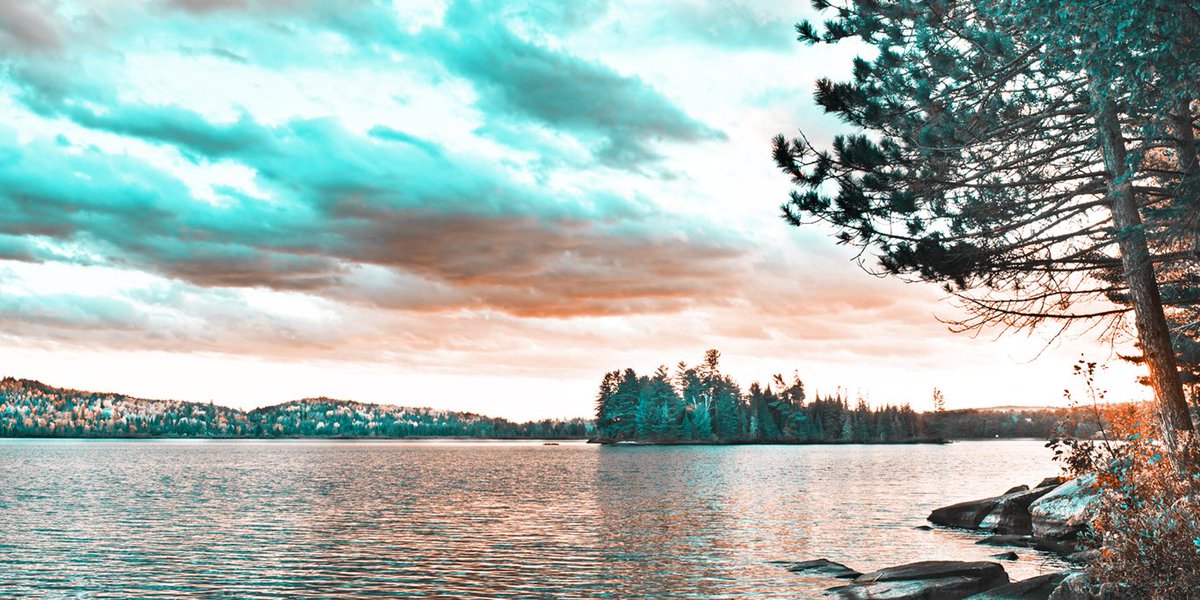 ontariobrokers's tweet photo. There are approximately 250,000 lakes in #Ontario and to answer your kid's question, no they don't have sharks. #OntarioBrokers #GetABroker https://t.co/D2yRFGGG5R
#Insurance #InsuranceBrokers #FindABroker #ShopLocal #Snapshot #ScenicView #Outdoors #SharkLife #EarthPix https://t.co/bpV3XUtaKQ