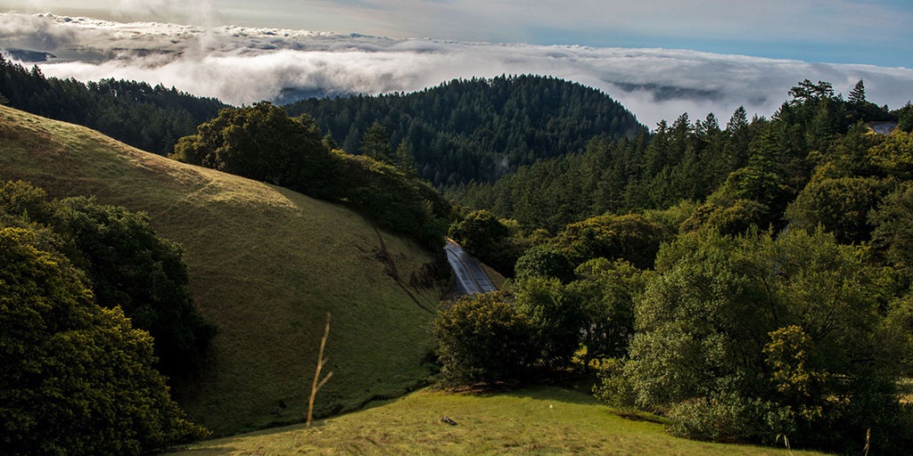 Questions about #climatechange in Marin and #California parks? 

Tomorrow, Wed 11am, ask Rosa Schneider, CA State Parks, and Laura Castellini, GGNRA, during a 1-hour Q&amp;A session. Go to onetam.org/summit and look for the October 7 listing to register.

📸 Paul Myers