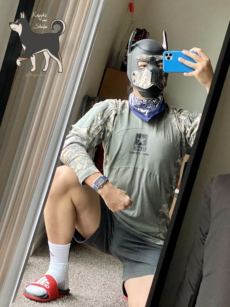 Knightthepup's tweet photo. 「Knight in Camo」
天气冷了，记得穿够衣服哦 https://t.co/uNjBHXH8Sn