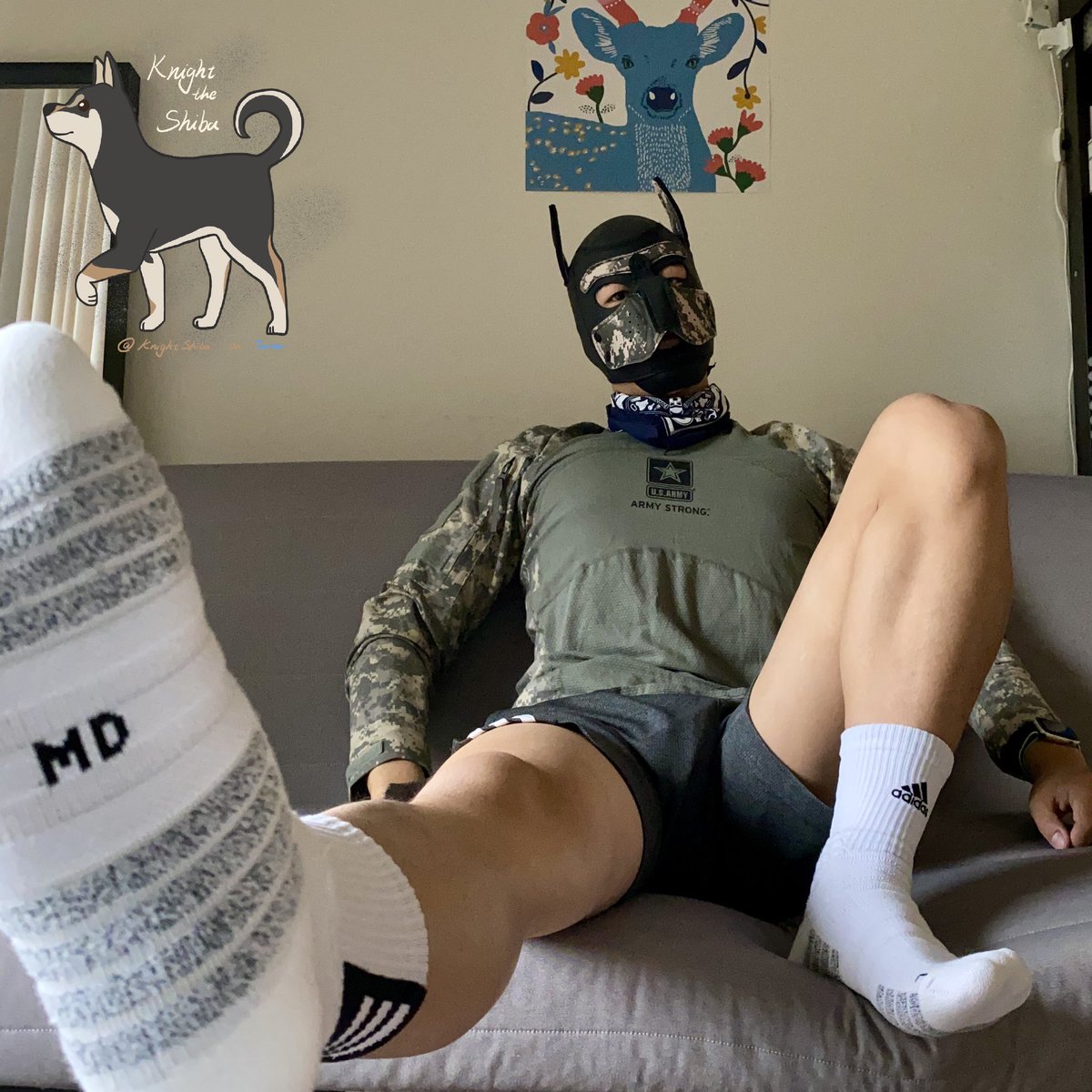 Knightthepup's tweet photo. 「Knight in Camo」
天气冷了，记得穿够衣服哦 https://t.co/uNjBHXH8Sn