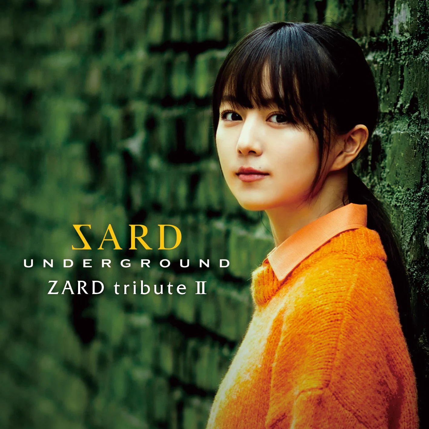 SARD UNDERGROUND STAFF on X: 