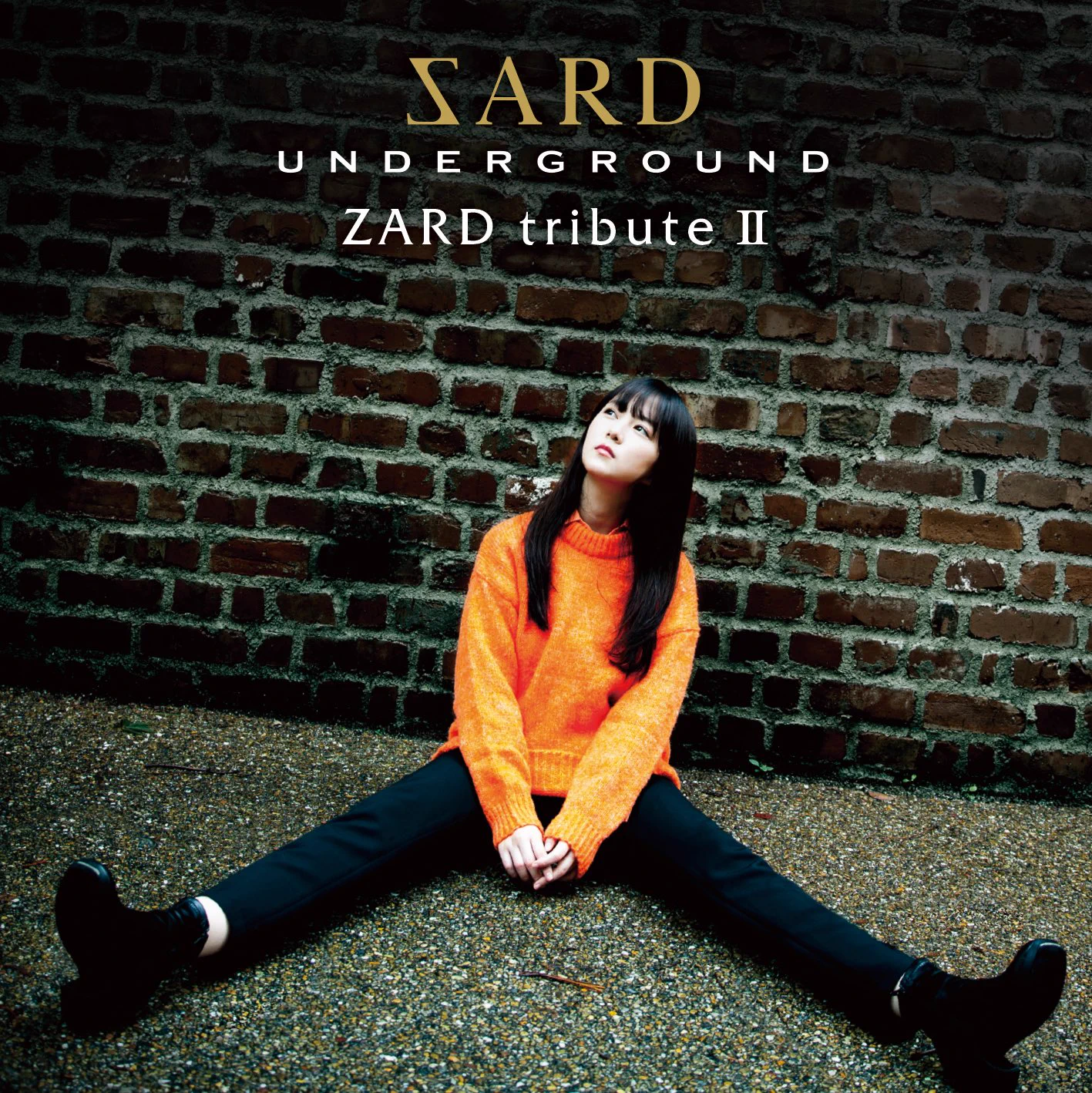 SARD UNDERGROUND STAFF on X: 
