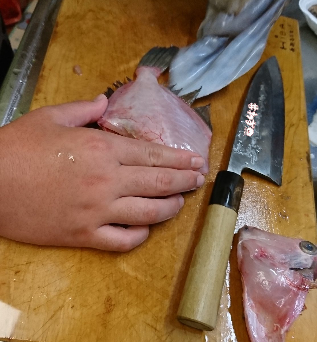 いくじゃん19 Tkm先週末は カワハギ捌いたりイカ素麺造ったりしてました カワハギの耳石は探す気力がなくてあきらめた このサイズだとたぶん1 1 5mmくらいのはず