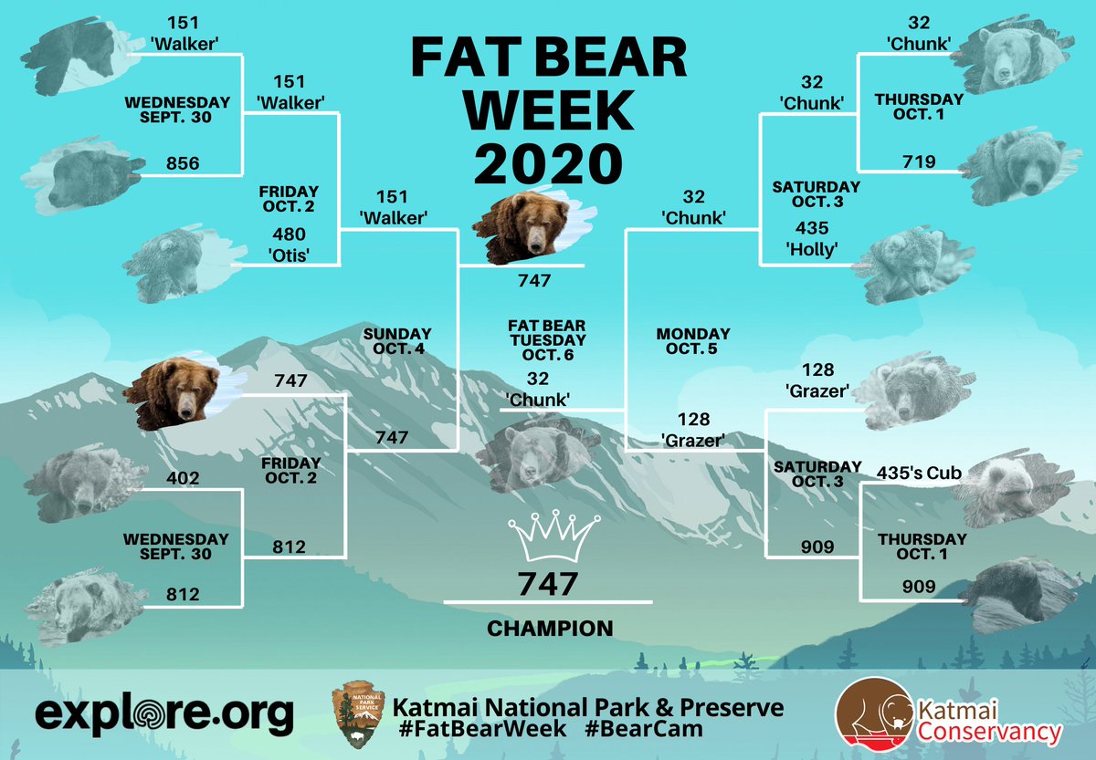 KatmaiNPS's tweet image. Match 11: Lardaceous Leviathan Levels Chunky Challenger

The votes are in! You’ve crowned the Earl of Avoirdupois, bear 747, the 2020 Fat Bear Week Champion. No longer the runner-up, 747 fulfills the fate of the fat and fabulous as he heads off to hibernation.
#FatBearWeek