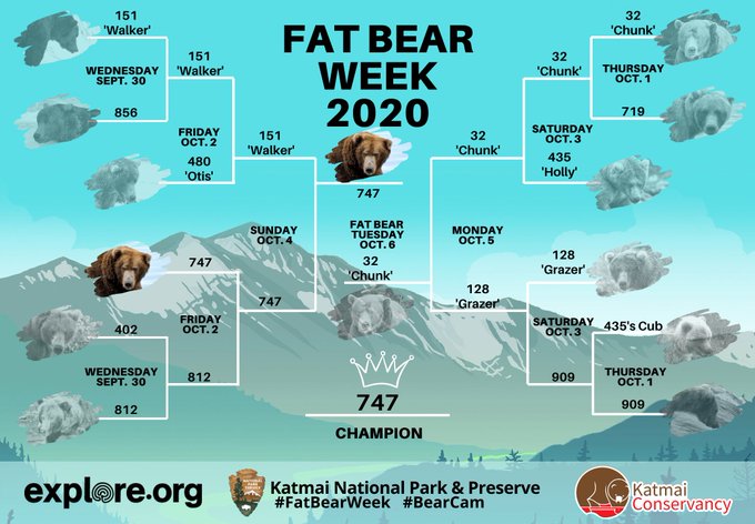 Fat Bear Week 2020 bracket; bear 747 is crowned 2020's Fat Bear Week Champion.