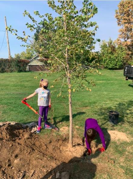 Inst4EnvSoln's tweet photo. On October 2, 2020, IES hosted a planting day with students at Kullerstrand Elementary School. The students planted 4 big trees and 23 shrubs. Many of the students remembered planting from previous years so they felt comfortable with the work this year!
#i4es #wheatridge https://t.co/whxYPXSfUn