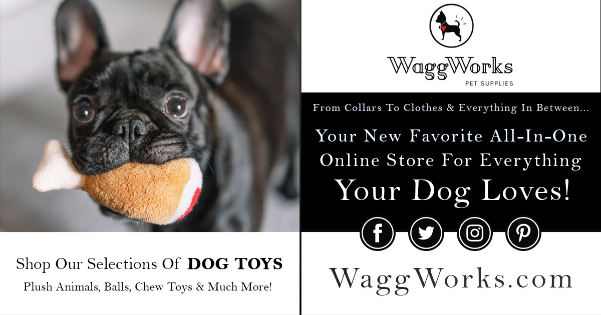 WaggWorks's tweet image. #Waggworks #dogtoys #dogchews #dogballs
