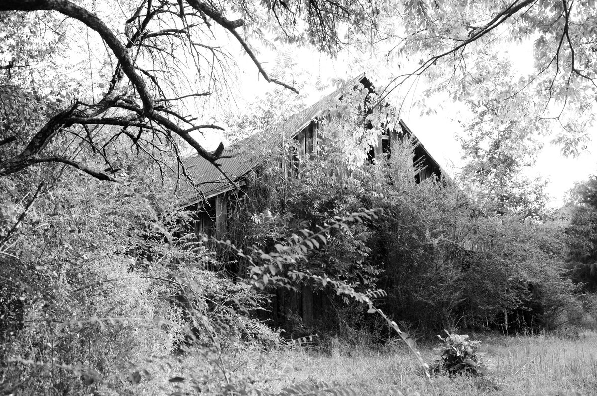 wdmccomb_author's tweet image. Ran across this pic of an old barn that inspired several scenes in my first book. Must have looked at it dozens of times while writing to help me bring it to life. Anyone want to go in after dark?