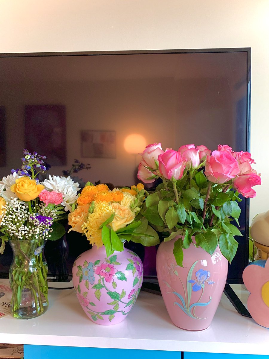 baedotdoe's tweet photo. Some flower therapy for you 🌹 https://t.co/iJrdJFy1g9