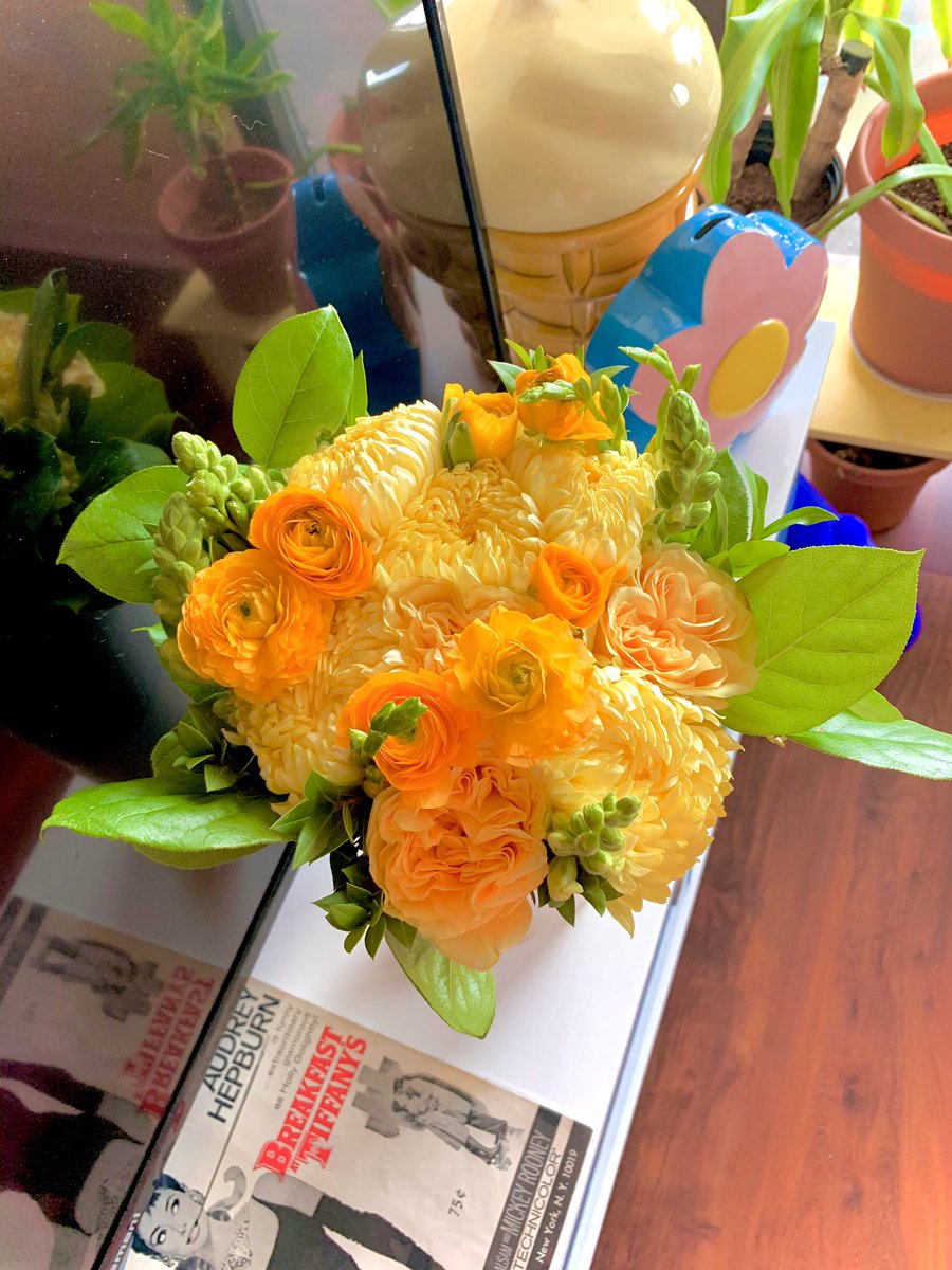 baedotdoe's tweet photo. Some flower therapy for you 🌹 https://t.co/iJrdJFy1g9