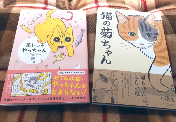 「茶トラのやっちゃん」「猫の菊ちゃん」ダブルでお迎えして堪能しました?どちらも、人と猫が暮らすことでの色々がつまっていて、愛されているネコチャンはいいものだなぁとなる漫画でした猫と写真撮りたかったのに、肝心な時に来てくれない、それもまた猫? 