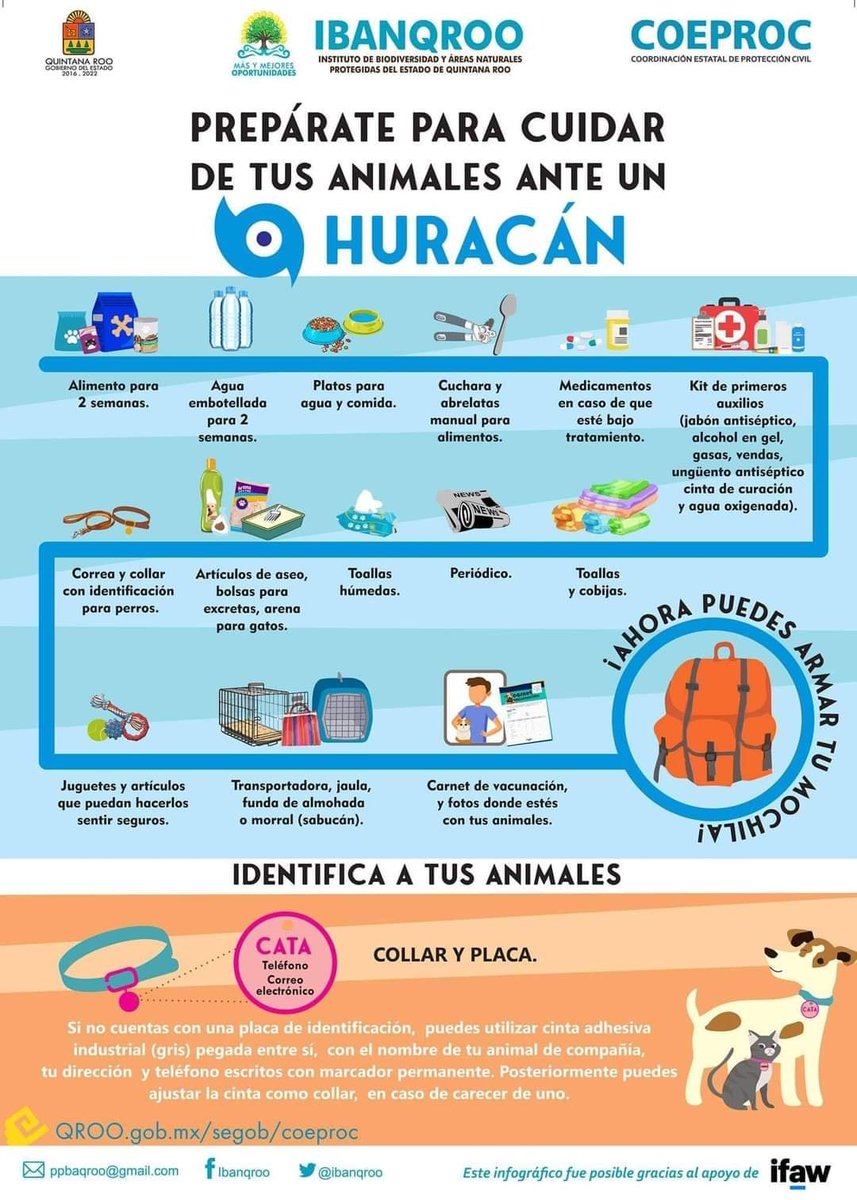 AnimaNat_Mexico's tweet photo. #AnimalesDelta #HuracanDelta ⚠️ ¡INFORMACIÓN IMPORTANTE! ⚠️ https://t.co/tQqOIOaAYg