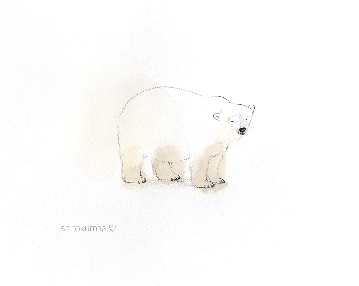 中村 愛 ぽてぽてムチムチ 天王寺動物園 いっちゃん シロクマ ホッキョクグマ イラスト Polarbear