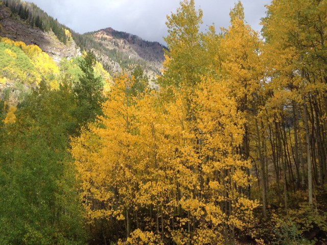 Steven B. Singleton tweet media