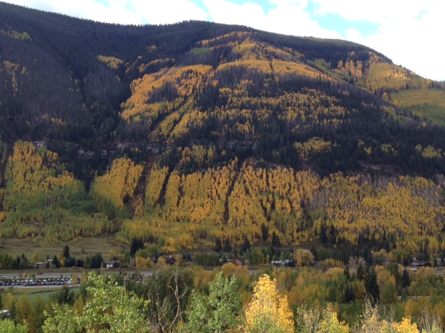 Steven B. Singleton tweet media