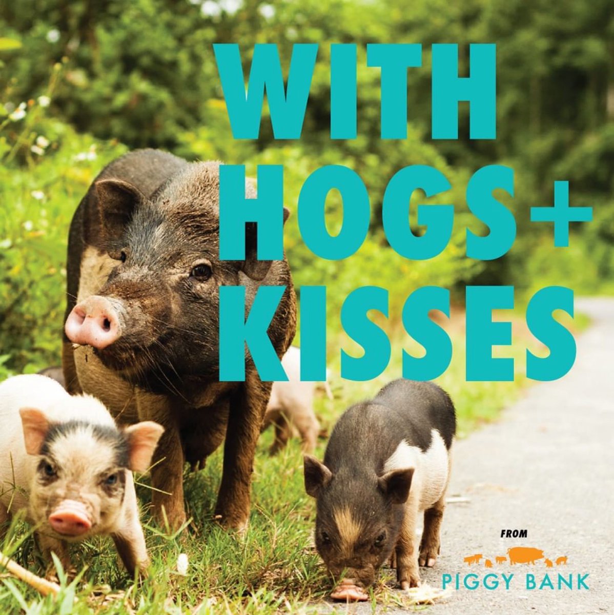Thanks to your support our recently launched business plan template for sustainable family farms will give small family farmers the tools they need to thrive. 

Please visit 👉🏼 Piggy-Bank.org 👈🏼 for more information.
