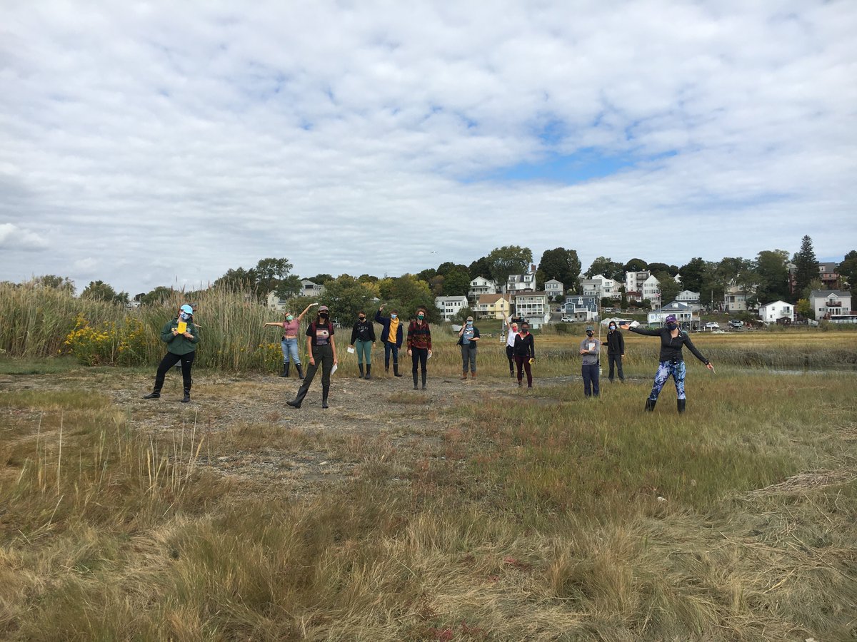RandiRotjan's tweet photo. The last remaining salt marsh in Boston (@belleislemarsh) was well worth a #murbex visit, even during #COVID19 ! @BUMPatBU https://t.co/pJdDVTy1gw