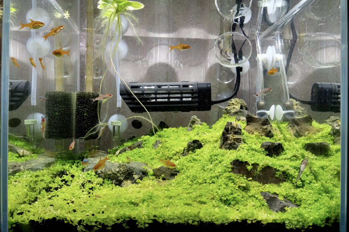 水槽用ヒーター