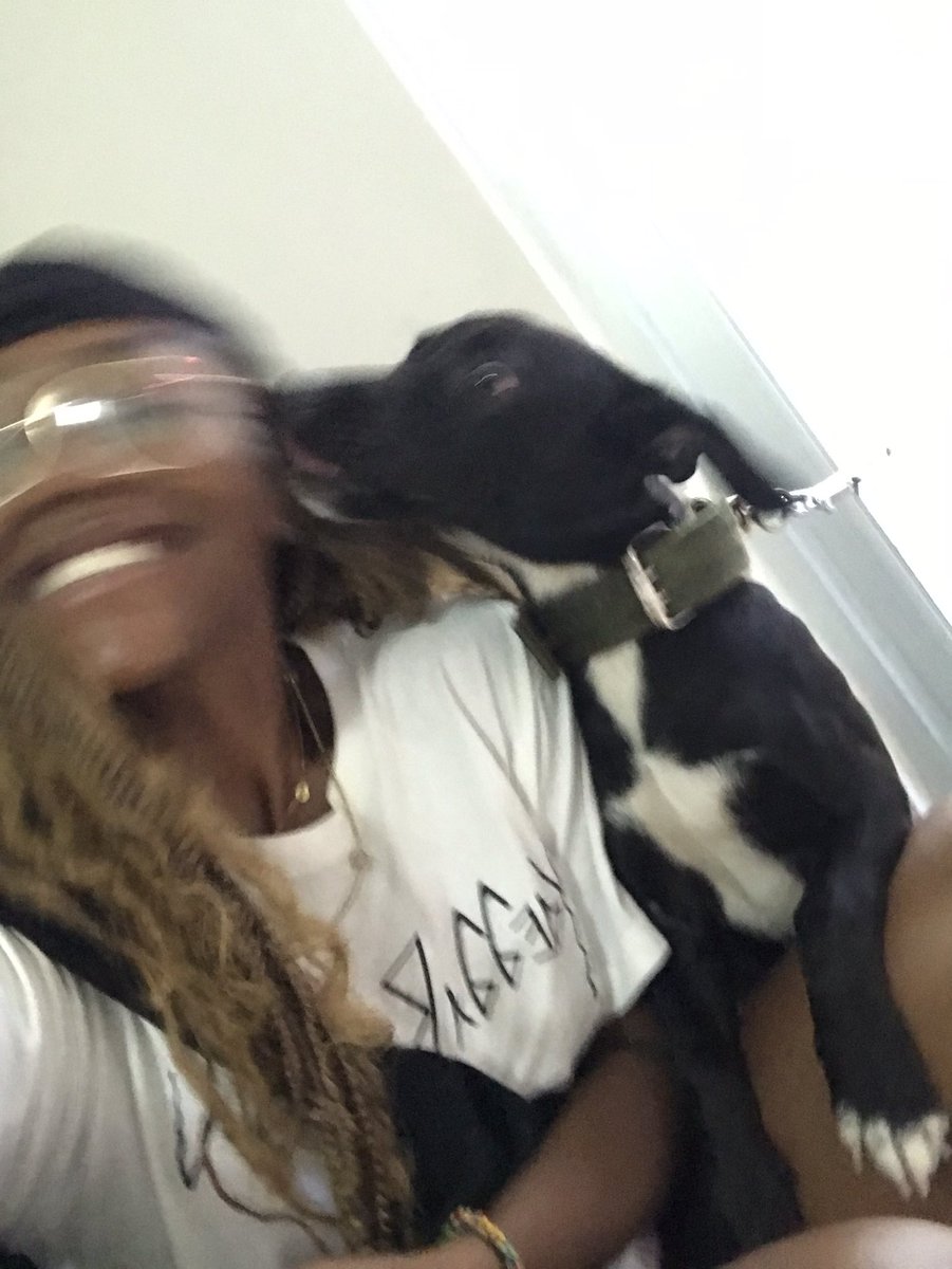 THESTAMMA's tweet photo. Today was Spade’s first day as a #SetPet and the man just have the girls dem weak already 🤣🤣
Cc @alexchiny https://t.co/qGv1nBFTCa
