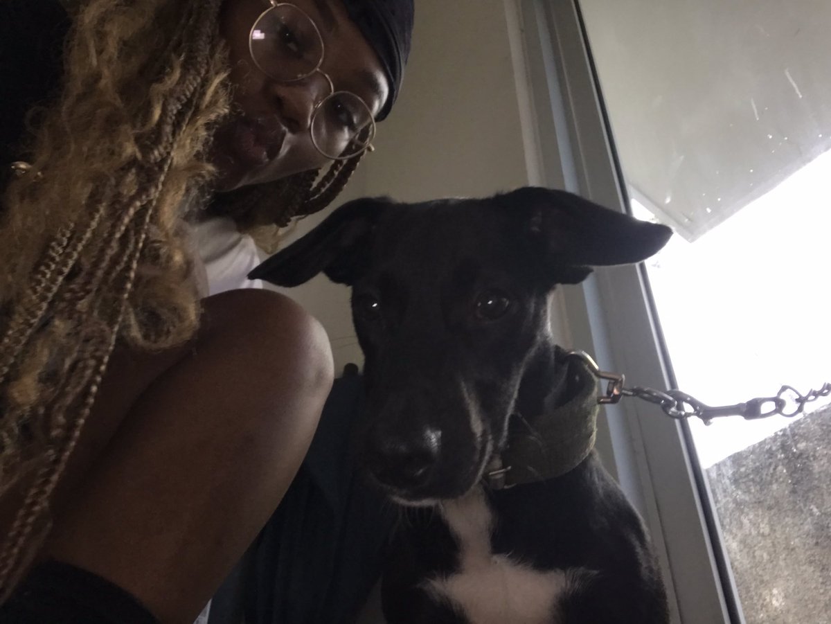 THESTAMMA's tweet photo. Today was Spade’s first day as a #SetPet and the man just have the girls dem weak already 🤣🤣
Cc @alexchiny https://t.co/qGv1nBFTCa