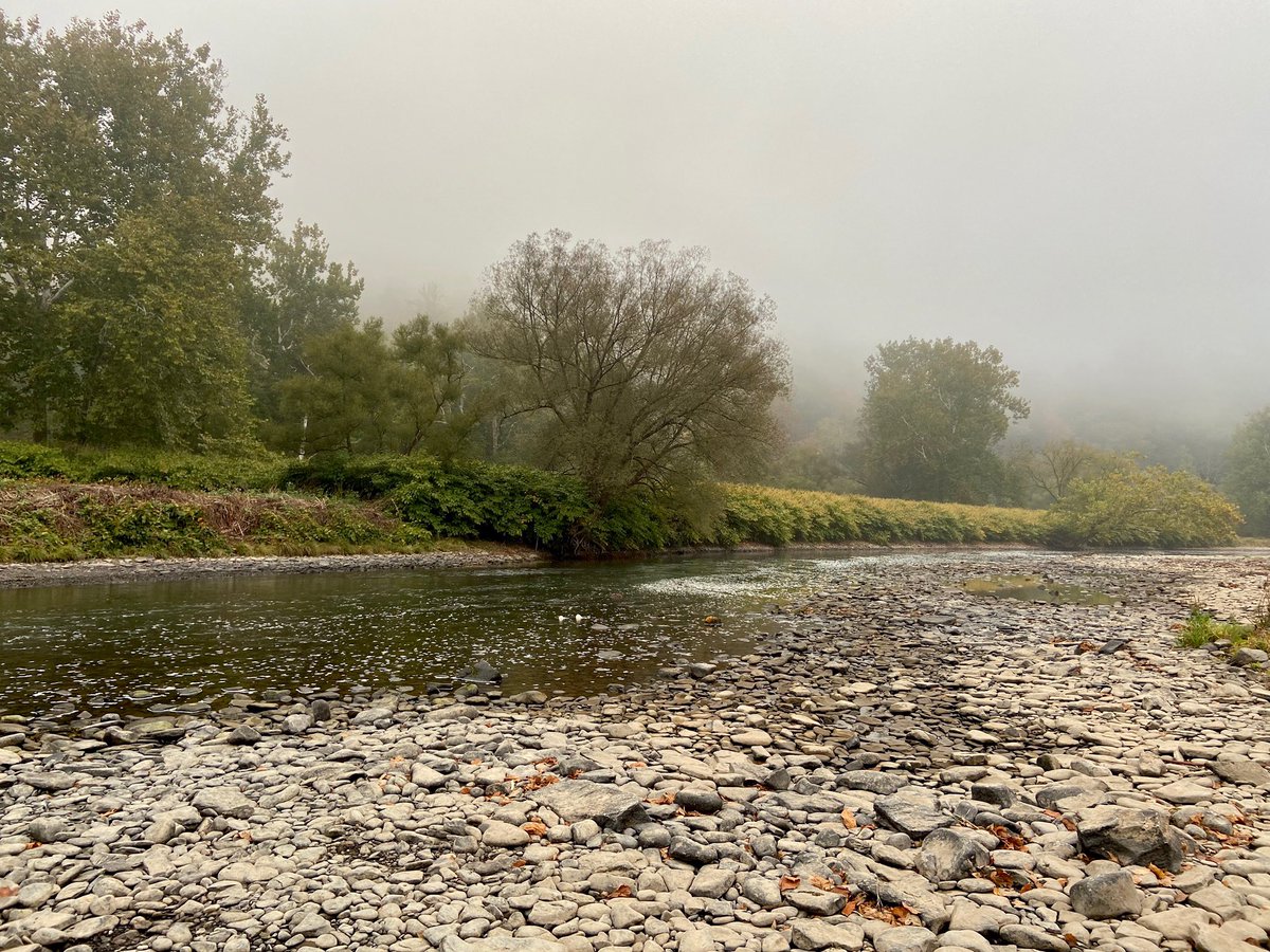 CaptJoeD's tweet photo. @FishOn_FishOff @RJ_Prince77 @MattGrobert @UpperDelaware @NYCWater @NYCMayorsOffice That’s what it looks like at Shehawken. https://t.co/FV2Kf5Z2T2