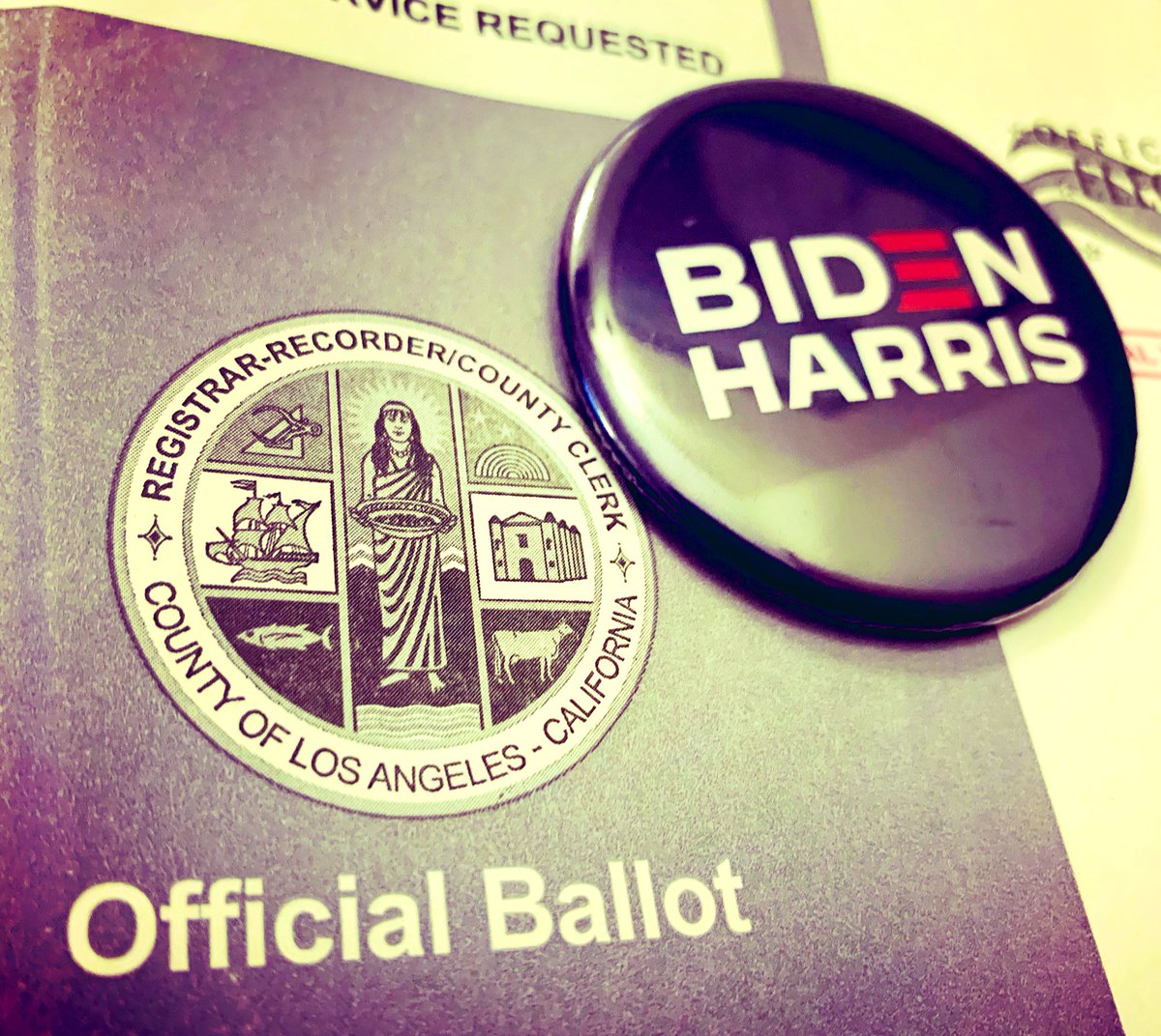ThatZachWilson's tweet photo. Perfect that my ballot came the same day as my #BidenHarris2020 button! #GoVote #NoSeriouslyGoVote #AreYouRegistered #WhyNot #ItsNotHard #JustGoVoteAlready https://t.co/Kke5iJqaI9